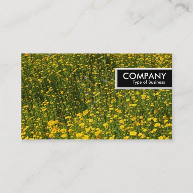 Carte De Visite Balise de bord - Lit de marguerites jaunes (Devant)