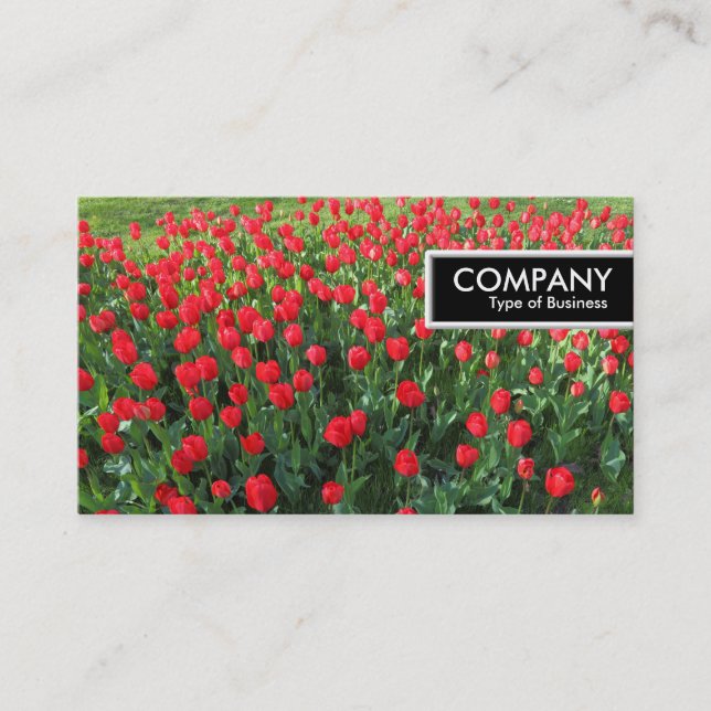 Carte De Visite Balise de bord - Lit de tulipes rouges 01 (Devant)