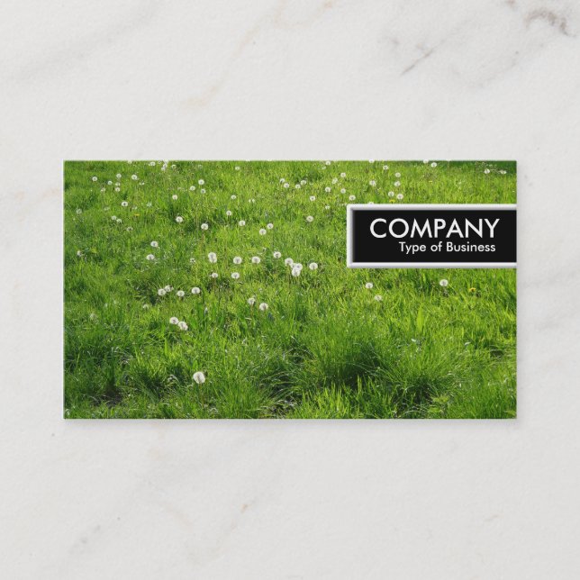 Carte De Visite Balise de bord - Pré de Dandelion 01 (Devant)