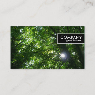 Carte De Visite Balise de bord - Soleil dans les arbres