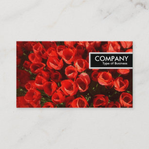Carte De Visite Balise de bord - Tulipes