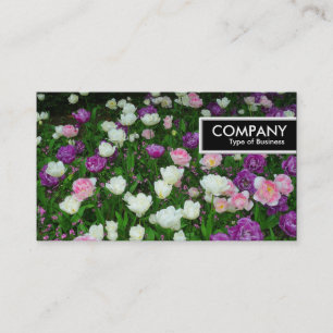 Carte De Visite Balise de bord - Tulipes colorées