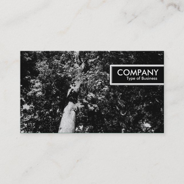 Carte De Visite Balise Edge - London Plane Tree B&W (Devant)