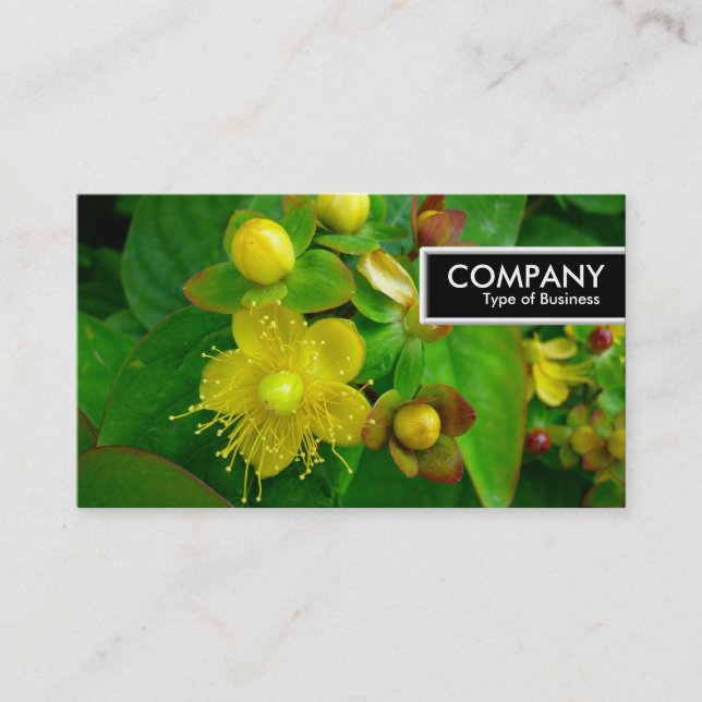 Carte De Visite Balise Edge - St Johns Wort (Devant)
