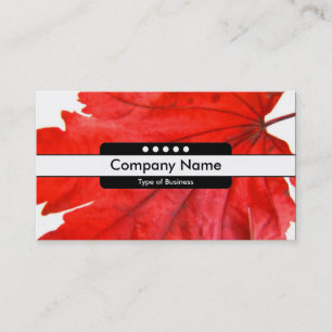Carte De Visite Bande centrale 5 points