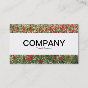 Carte De Visite Bande centrale - Lit de tulipes