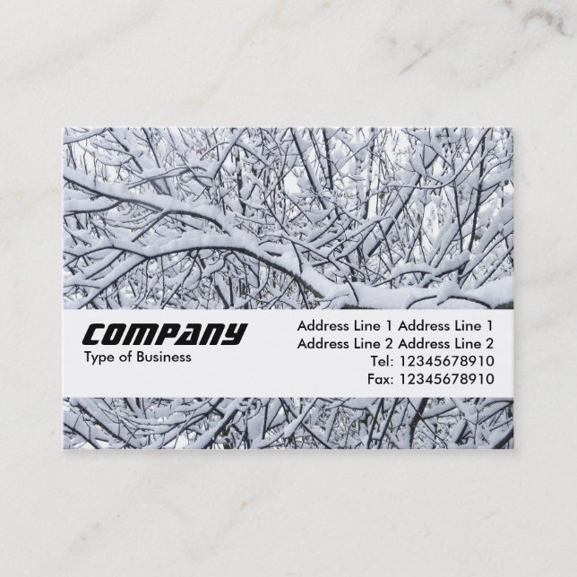Carte De Visite Bande de texture - Branches de neige (Devant)