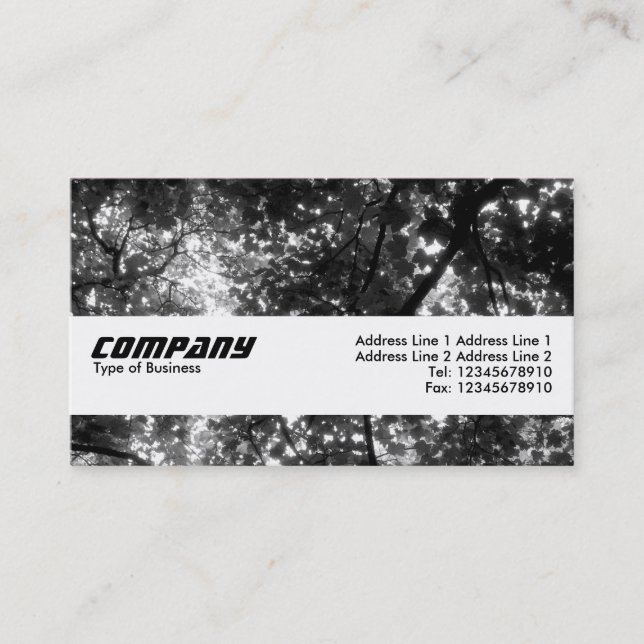 Carte De Visite Bande de texture - Dans les arbres II (Devant)