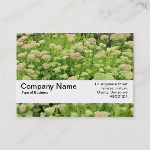 Carte De Visite Bande de texture V2 - Automne Bleu