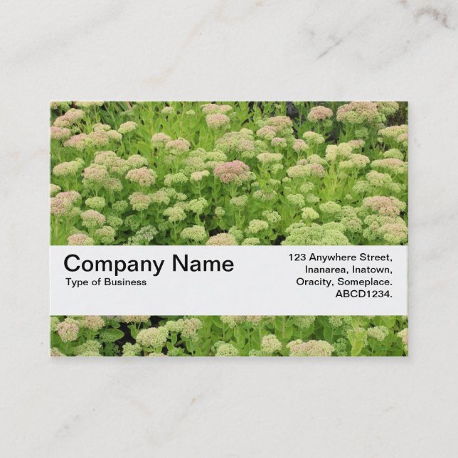 Carte De Visite Bande de texture V2 - Automne Bleu (Devant)