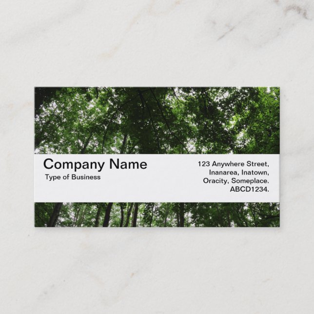 Carte De Visite Bande de texture V2 - Canopée de bois 01 (Devant)