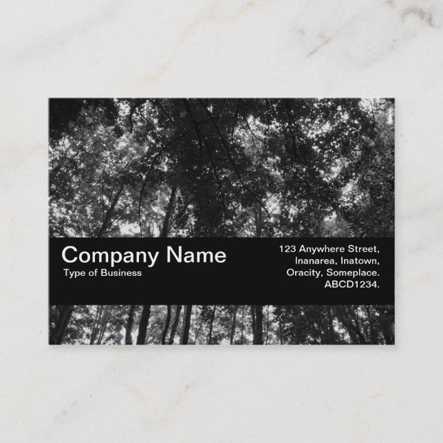 Carte De Visite Bande de texture V2 - Canopée de bois 01 BW (Devant)