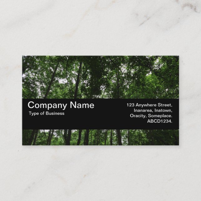 Carte De Visite Bande de texture V2 - Canopée de bois 02 (Devant)