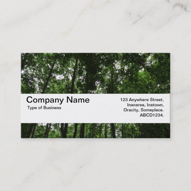 Carte De Visite Bande de texture V2 - Canopée de bois 02 (Devant)