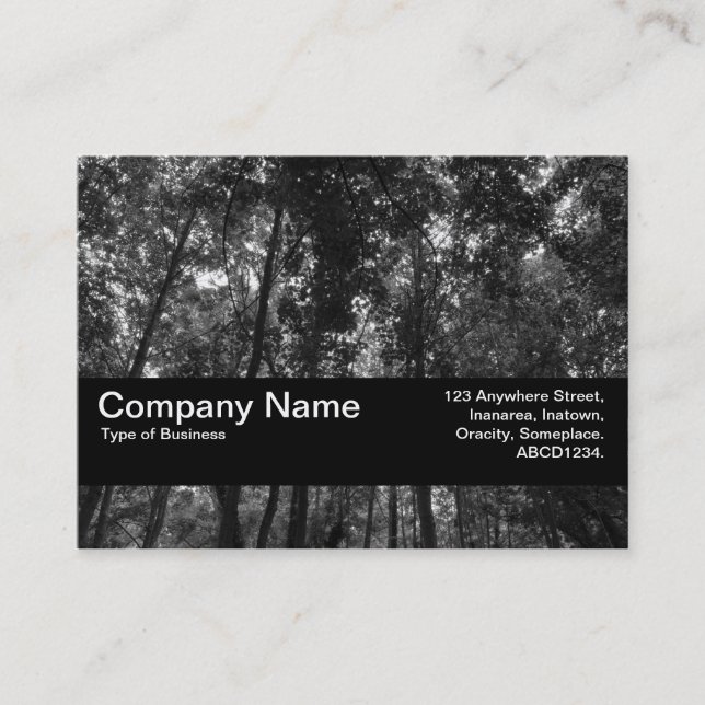 Carte De Visite Bande de texture V2 - Canopée de bois 02 BW (Devant)