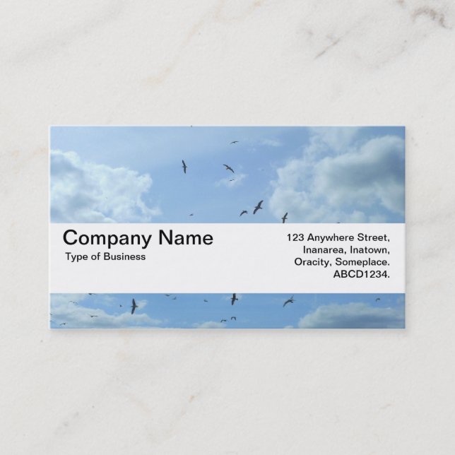 Carte De Visite Bande de texture V2 - Ciel et mouettes (Devant)