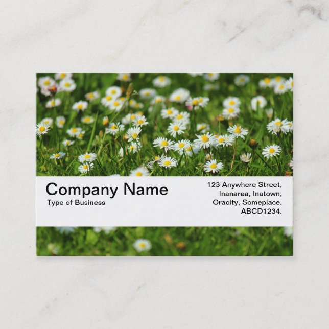 Carte De Visite Bande de texture V2 - Pré de marguerite (Devant)
