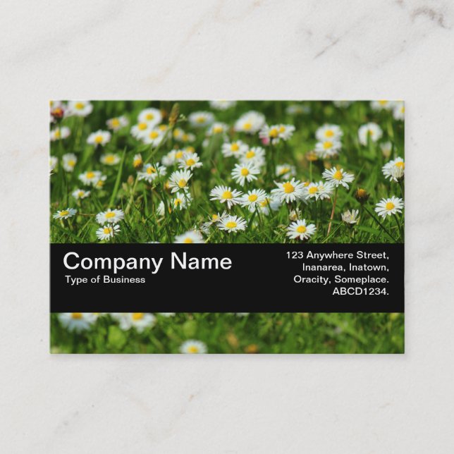 Carte De Visite Bande de texture V2 - Pré de marguerite (Devant)
