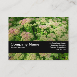 Carte De Visite Bande de texture V2 - Sédum "Joie d'automne"