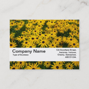 Carte De Visite Bande de texture V2 - Susans aux yeux noirs (Rudbe