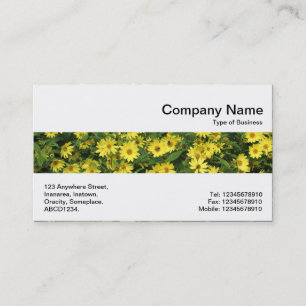 Carte De Visite Bande du milieu - Pâquerettes jaunes