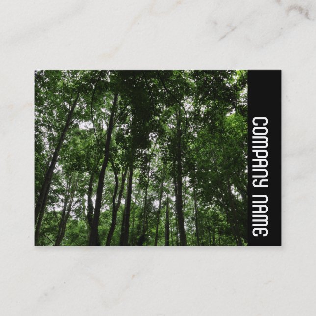 Carte De Visite Bande latérale - Bande boisée 02 (Devant)