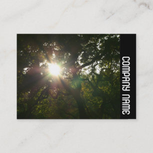 Carte De Visite Bande latérale - Branches japonaises 07