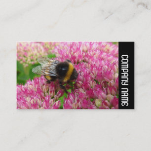 Carte De Visite Bande latérale - Bumble Bee sur Sedum