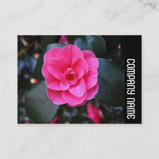 Carte De Visite Bande latérale - Camellia rose (Devant)