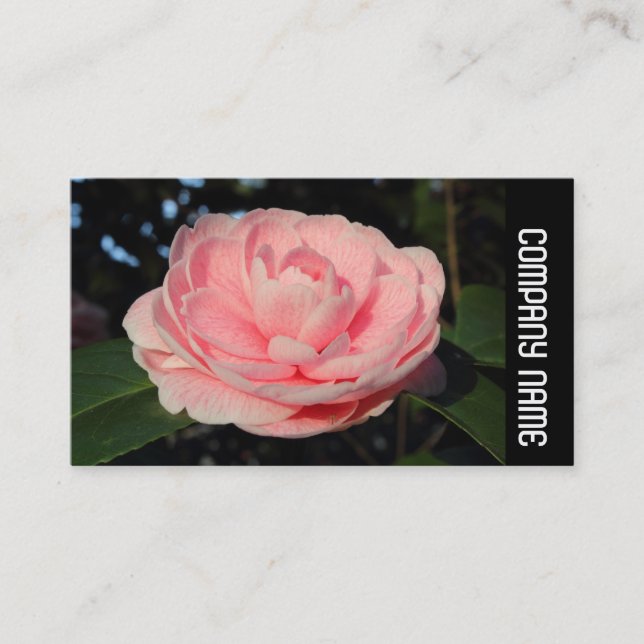 Carte De Visite Bande latérale - Camellia rose (Devant)