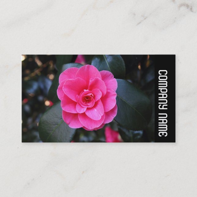 Carte De Visite Bande latérale - Camellia rose (Devant)