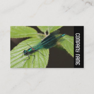 Carte De Visite Bande latérale - Dragonfly