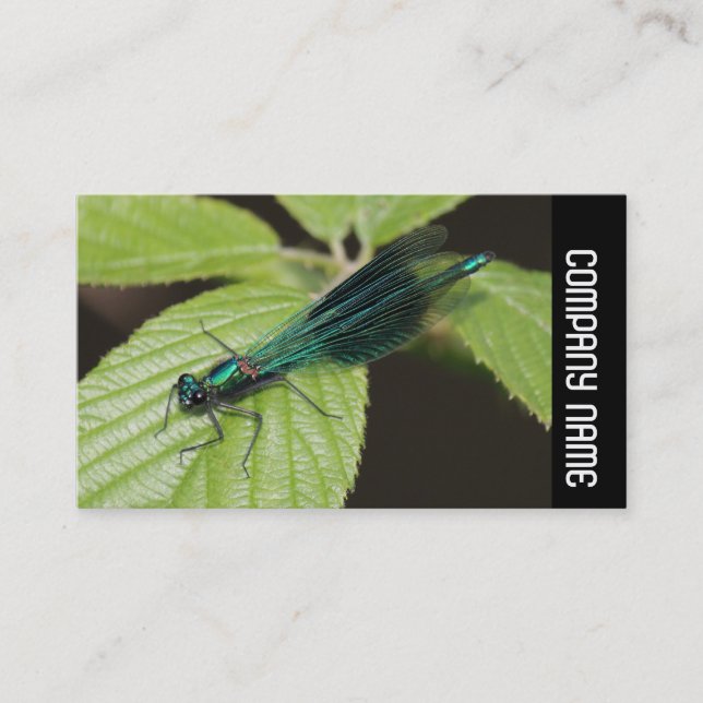 Carte De Visite Bande latérale - Dragonfly (Devant)