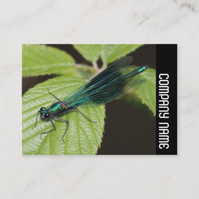 Carte De Visite Bande latérale - Dragonfly (Devant)
