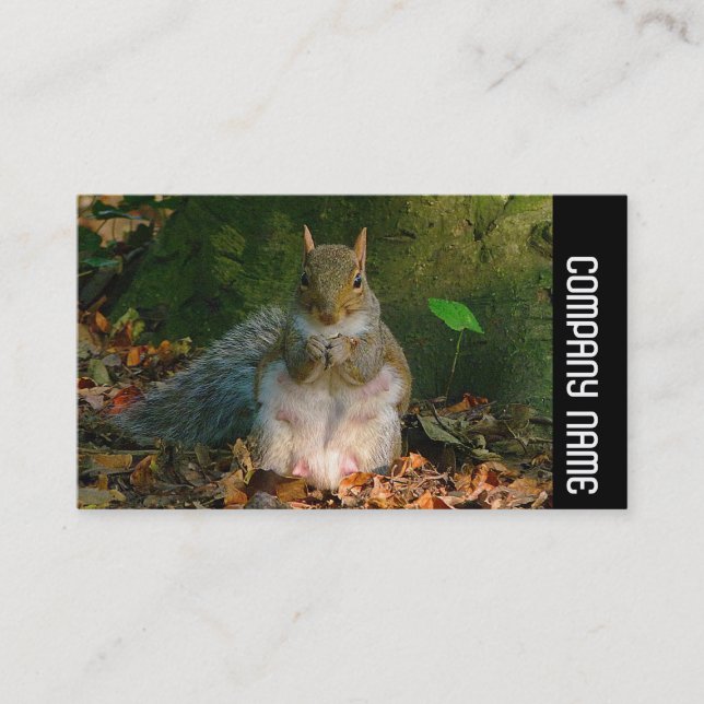 Carte De Visite Bande latérale - Écureuil gris (Devant)