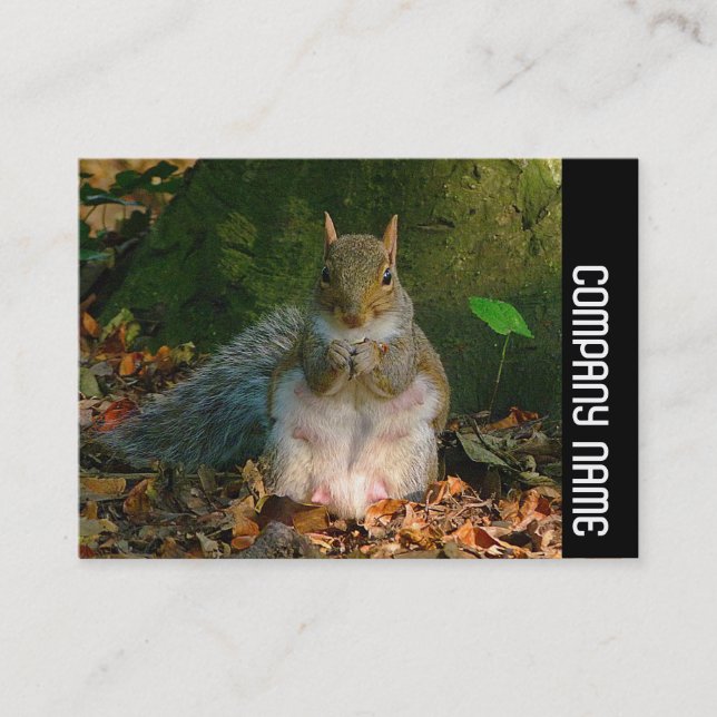 Carte De Visite Bande latérale - Écureuil gris (Devant)