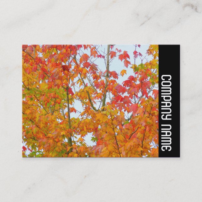 Carte De Visite Bande latérale - Feuilles d'automne (Devant)