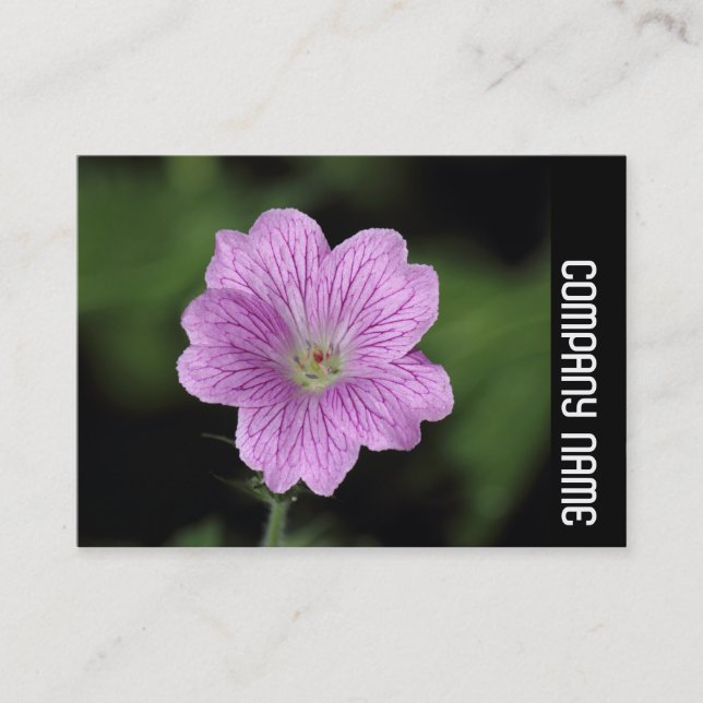 Carte De Visite Bande latérale - Geranium Endressii (Devant)