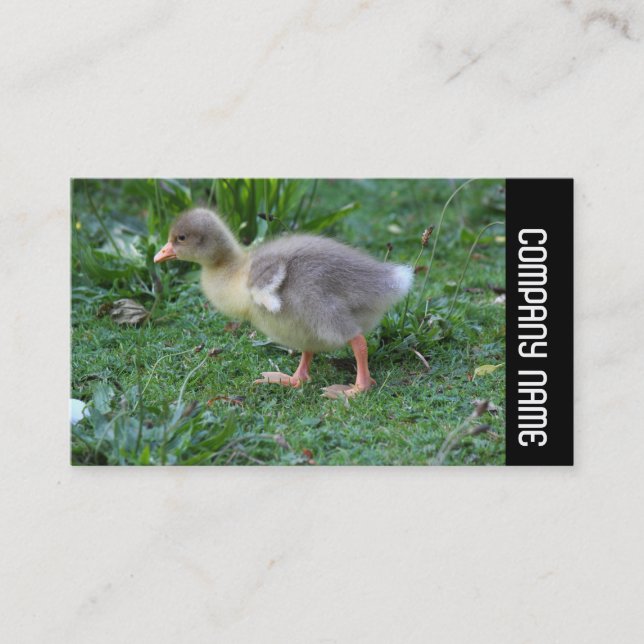 Carte De Visite Bande latérale - Gosling 02 (Devant)