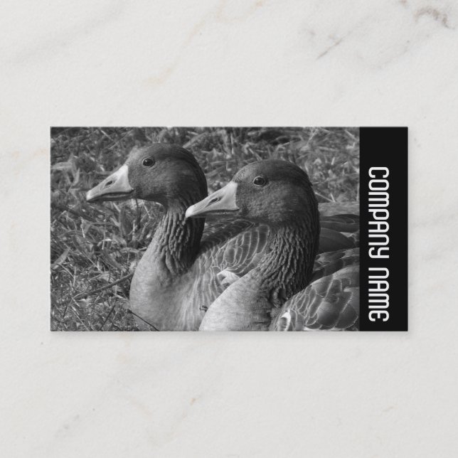 Carte De Visite Bande latérale - Greylag Geese B&W (Devant)