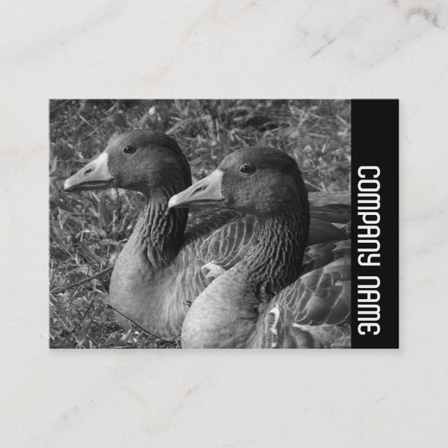 Carte De Visite Bande latérale - Greylag Geese B&W (Devant)