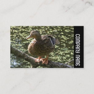 Carte De Visite Bande latérale - Happy Duck