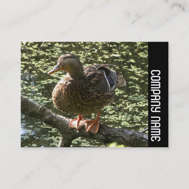 Carte De Visite Bande latérale - Joyeux canard (Devant)