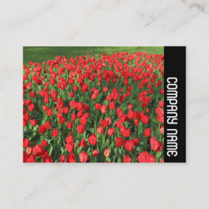 Carte De Visite Bande latérale - Lit de Rouges Tulipes 02