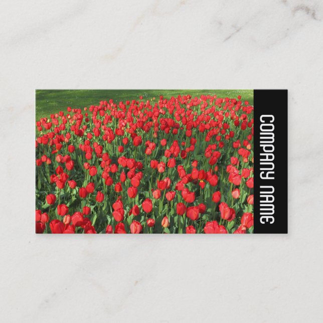 Carte De Visite Bande latérale - Lit de Rouges Tulipes 02 (Devant)