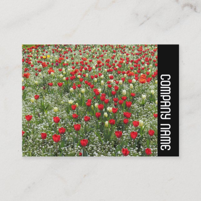 Carte De Visite Bande latérale - Lit de tulipes (Devant)
