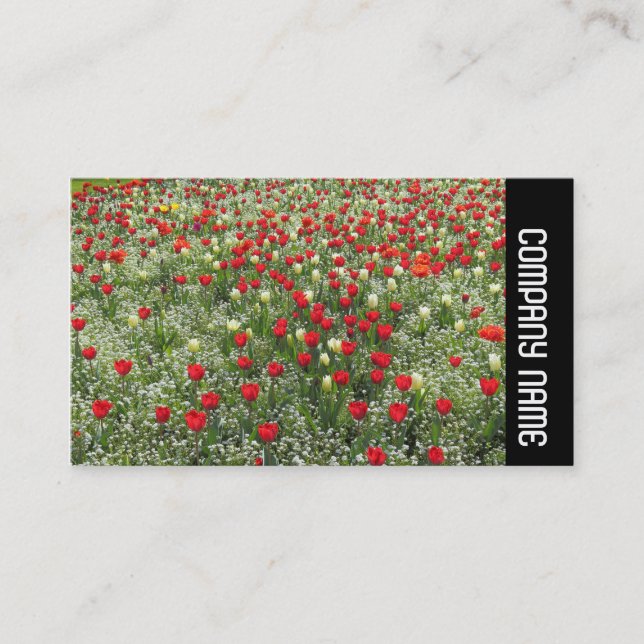 Carte De Visite Bande latérale - Lit de tulipes (Devant)