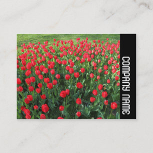 Carte De Visite Bande latérale - Lit de tulipes rouges 01