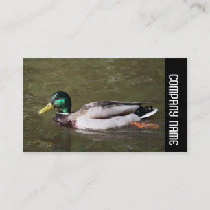 Carte De Visite Bande latérale - Mallard Duck