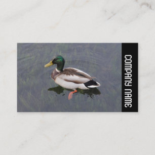 Carte De Visite Bande latérale - Mallard Duck